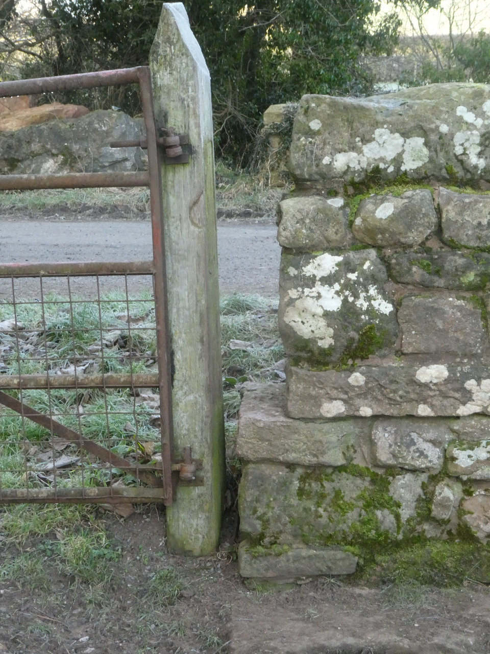 Photo by John Ockenden